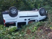 Kamyonet fındık tarlasına uçtu: 1 yaralı