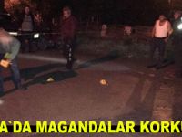 Bafra`da neler oluyor