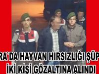 Hayvan hırsızlığı şüphelisi 2 kişi yakalandı