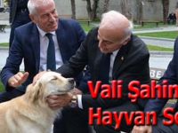 Vali Şahin Alaçam'da