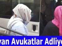 Bayan Avukatlar Adileyede