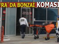 Yine bonzai yine koma