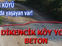 Alaçam köyü isyan etti ''Biz insan değilmiyiz''