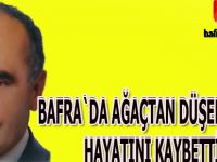 Ceviz ağacından düşen yaşlı adam hayatını kaybetti