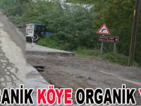 Organik köye organik yol