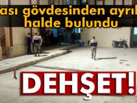Tarlada kafası gövdesinden ayrılmış erkek cesedi bulundu