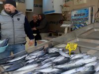 Soğuk hava Balık fiyatlarına vurdu