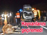 Hayvanlarını yolun karşısına geçiren adama araba çarptı