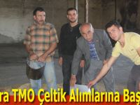 Bafra TMO çeltik alımlarına başladı