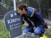 20 senedir hayvan mezarlığına geliyor