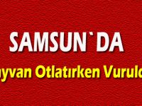 Arazide hayvanlara bakarken silahla vuruldu