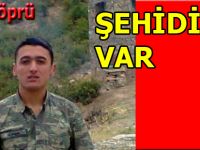 Şehit ateşi Vezirköprü'ye düştü