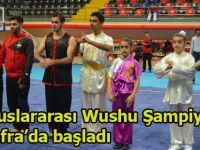 Milli İrade Wushu şampiyonası Bafra'da başladı