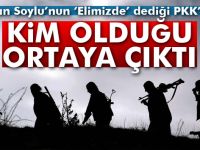 Yakalanan üst düzey PKK'lı yönetici kim?