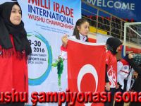 Wushu şampiyonası sona erdi