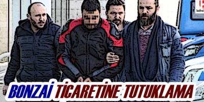 Bonzai ticaretine tutuklama