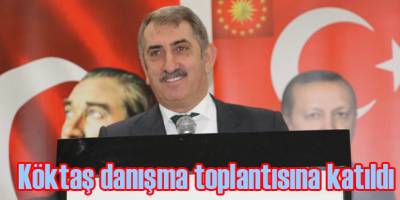 Köktaş danışma toplantısına katıldı
