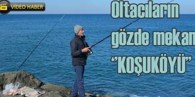 Olta balıkçılarının gözde mekanı Koşuköyü
