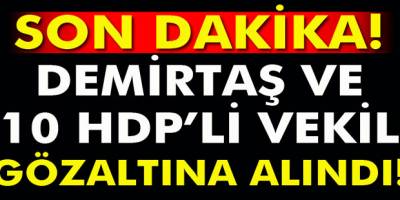 HDP'li vekiller gözaltında