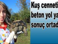 Kuş cennetinde beton yolda yaban hayvanlarına araçlar zarar veriyor