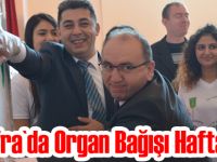 Bafra`da Organ Bağışı Haftası