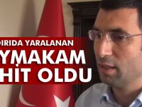 Derik Kaymakamı Muhammed Fatih Safitürk şehit oldu