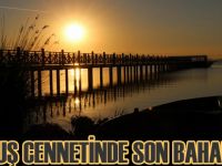 Kuş Cenneti'nde sonbahar