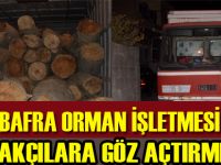 Bafra Orman İşletmesi Kaçakçılara Göz Açtırmıyor
