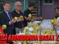 DEVECİ ARMUDUNDA HASAT ZAMANI