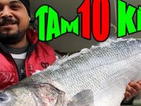 Türkeli’nde bir balıkçının ağına 10 kilo ağırlığında levrek takıldı.