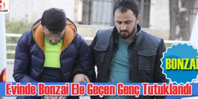 Evinde bonzai ele geçen genç tutuklandı