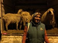 Alaçam'da Çiftçilere hibe desteği