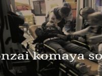 Bafralı iki genç komaya girdi