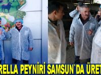 Samsun`da mozzarella peyniri üretilecek
