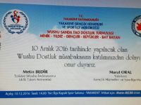 Yakakent’te Wushu gösterisi