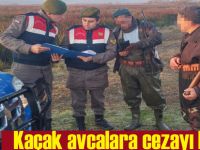 Kaçak avcılara suç üstü