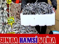 Samsun'da hamsi 5 lira