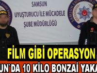 Film gibi takipte 10 kilo bonzai ile yakalandılar