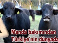 Manda bakımından Türkiye'nin dünyadaki yeri