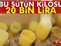 Bu sütün kilosu 20 bin lira