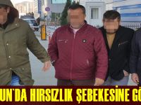 Samsun'da oto hırsızlık şebekesine darbe: 10 gözaltı