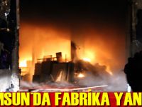 Samsun'da fabrika yangını