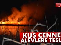 Kuş Cenneti alevlere teslim