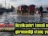 Büyük-şehrin amacı ne?