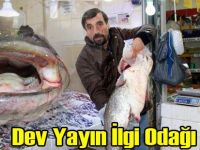 Dev yayın Balığı Şaşırttı