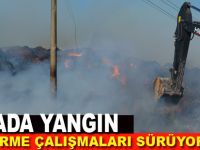 Hayvanlar telef olmaktan son anda kurtuldu