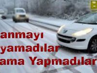 Buzlanmayı Anlayamadılar Tuzlama Yapmadılar