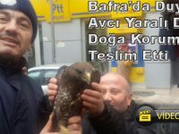 Duyarlı Vatandaş Yaralı Doğanı Doğa Korumaya Teslim Etti