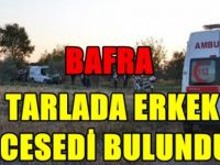 Bafra'da tarlada erkek cesedi bulundu
