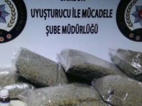 Samsun'da 6 kilo bonzai ele geçti; 3 kişi gözaltına alındı